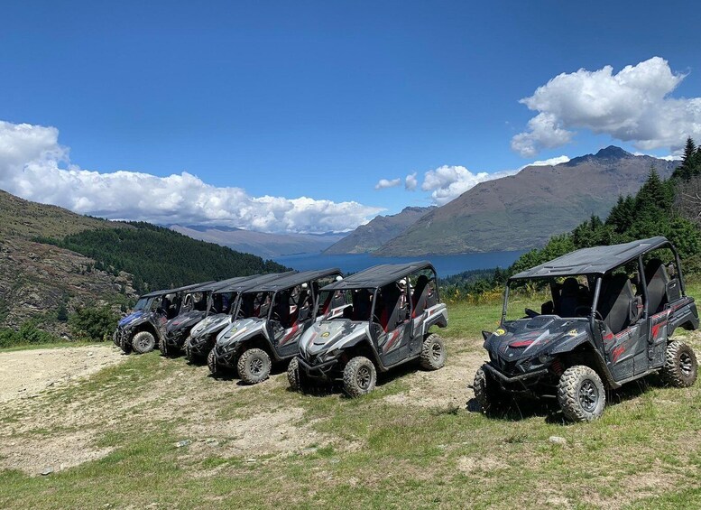 Picture 3 for Activity Queenstown: Challenger Self-Drive Buggy Buggy Tour