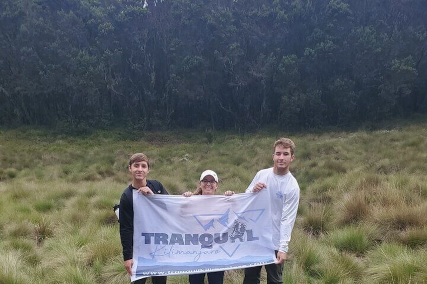 Private Kilimanjaro Day Hike to Marangu Route's Mandara Hut