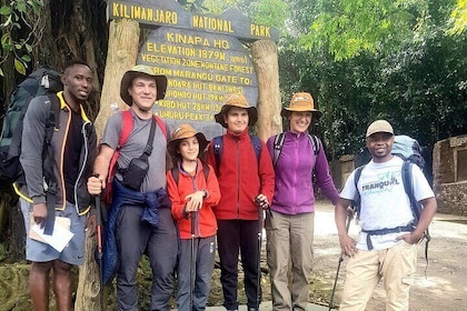 Private Kilimanjaro Day Hike to Marangu Route's Mandara Hut