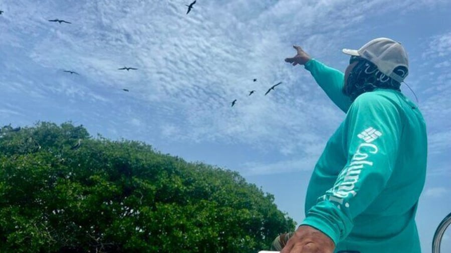 Half Day Reef Snorkel and Wildlife Tour