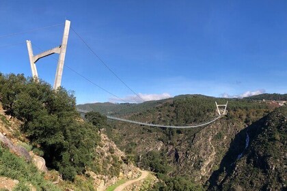 Pasarelas Paiva y Puente Colgante 516