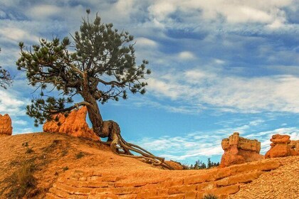 Tour privado a la meseta de Colorado desde Sedona