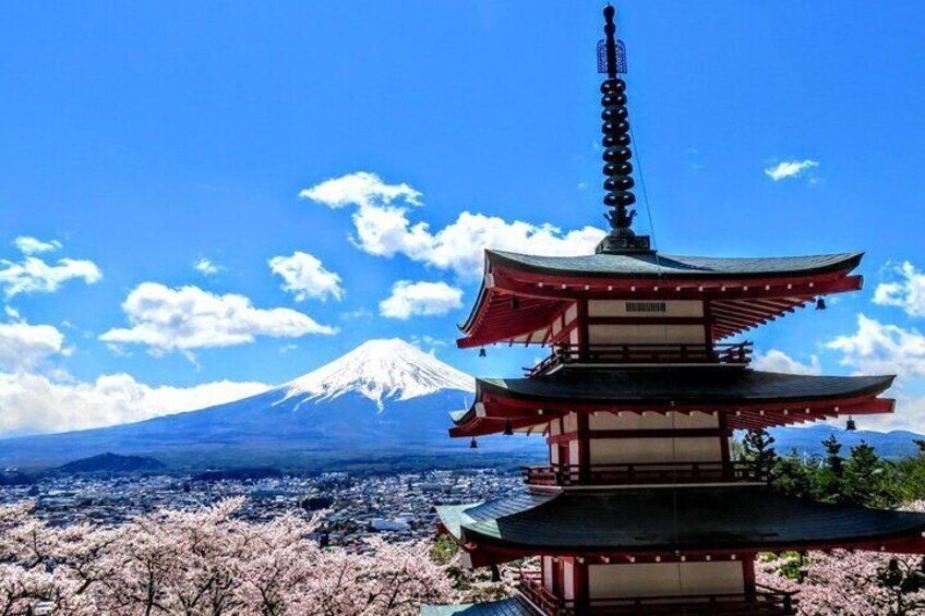 Full Day Tour of Mount Fiji and Hakone from Tokyo