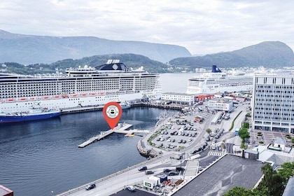 All About the Fjords in One Tour by Boat and Bus from Ålesund