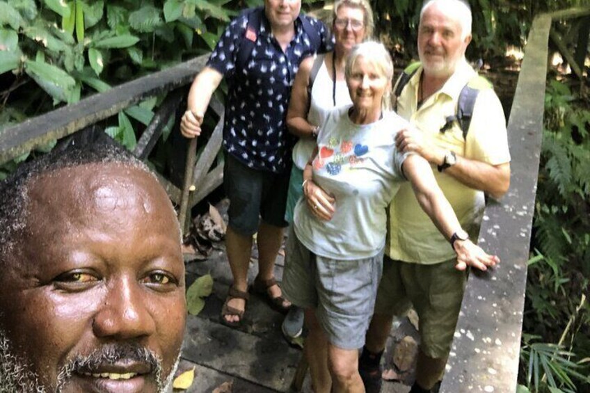 3 Hours Rainforest Group Walk with Lunch