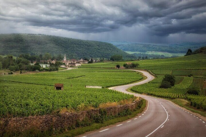 Burgundy Bliss Wine Tasting Private Day Trip from Paris