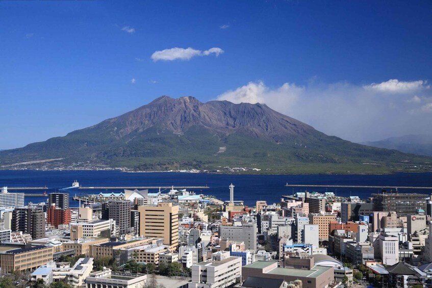 Kagoshima Half-Day Sightseeing Tour