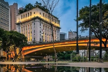 São Paulo Highlights Walking Tour with a Guide