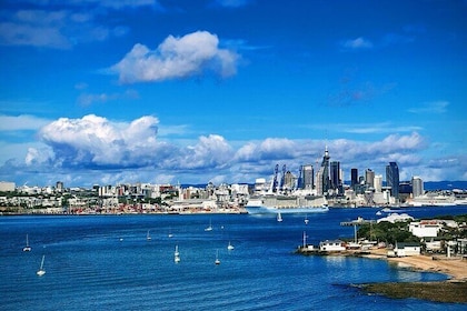 Auckland Half Day City Tour - Heart of Auckland