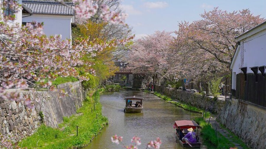 From Nagoya: Castles and Canals in Hikone and Omi Hachiman