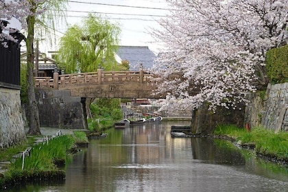 From Nagoya: Castles and Canals in Hikone and Omi Hachiman