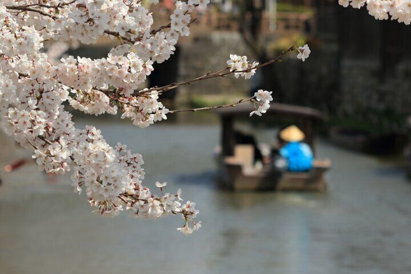 From Nagoya: Castles and Canals in Hikone and Omi Hachiman