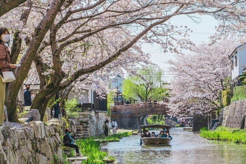 From Nagoya: Castles and Canals in Hikone and Omi Hachiman