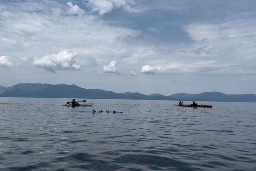  Clear Kayak Paddle Tour at Cave Rock