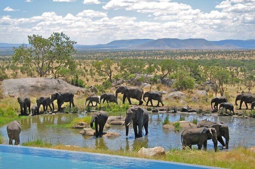 4 Days Private Tour at Kruger National Park & Blyde River Canyon