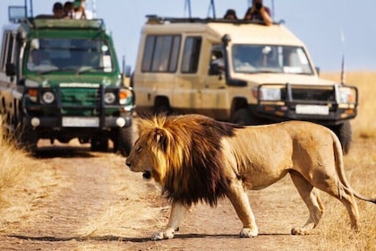 4 Days Private Tour at Kruger National Park & Blyde River Canyon