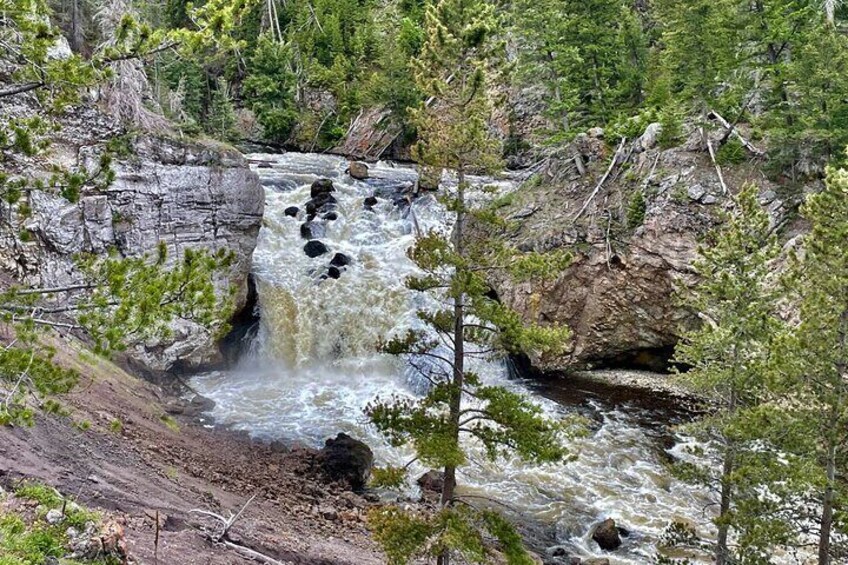 The Full Two Day Private Yellowstone Day Trips West Yellowstone