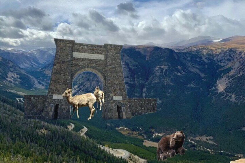 The Full Two Day Private Yellowstone Day Trips West Yellowstone