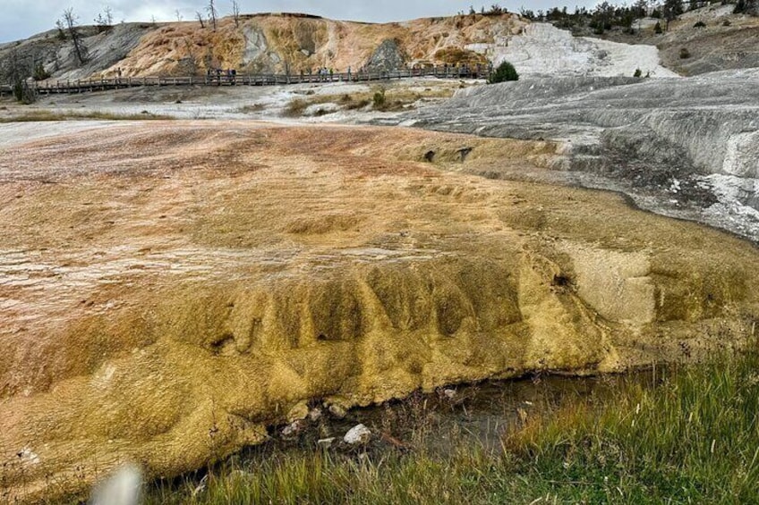 The Full Two Day Private Yellowstone Day Trips West Yellowstone