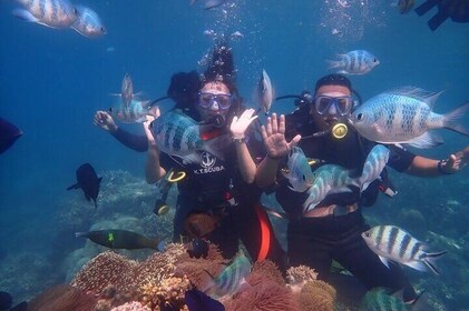 Scuba Diving Experience for Non Certified Divers In Nha Trang