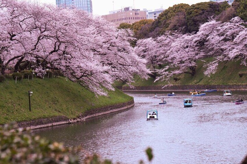 Tokyo Day Tour with English Speaking Driver