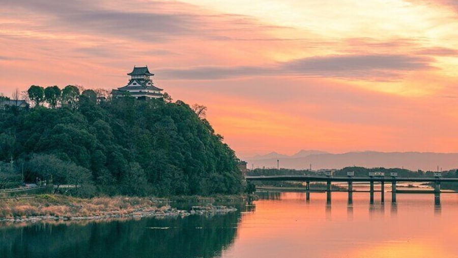 1 Day Samurai Swords and Japan Oldest Castle Tour from Nagoya