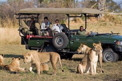 3 Day Safari Hluhluwe and Isimangaliso Wetlands Park from Durban