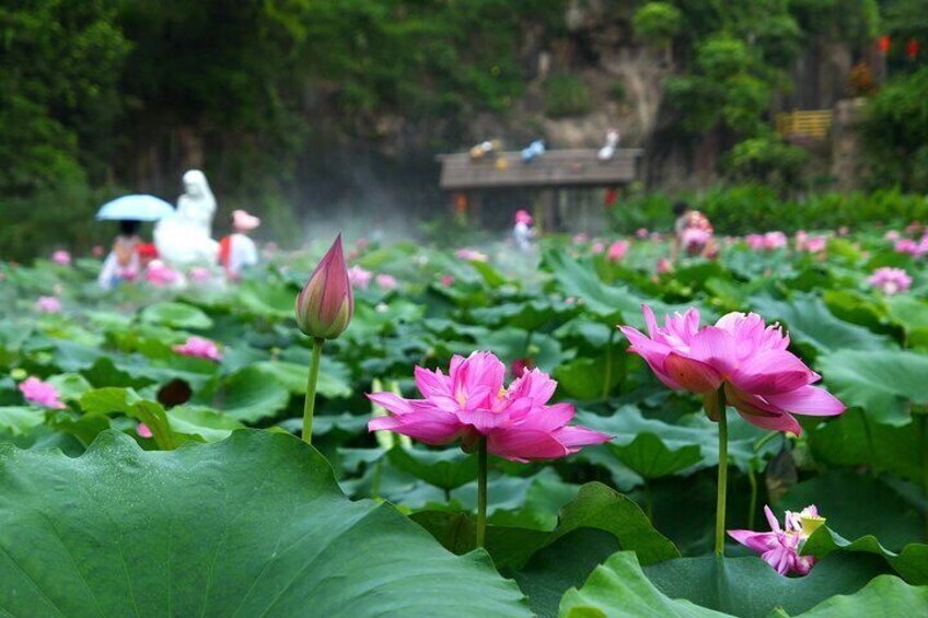 Lotus Hill Ancient Quarry Big Buddha Art AncientTown Private Tour