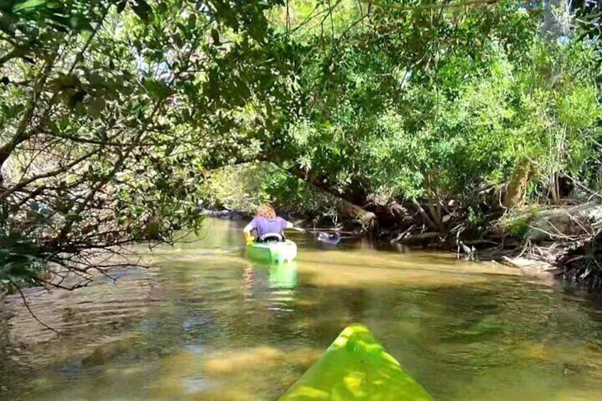 Magic of Nature Guided Eco Tour