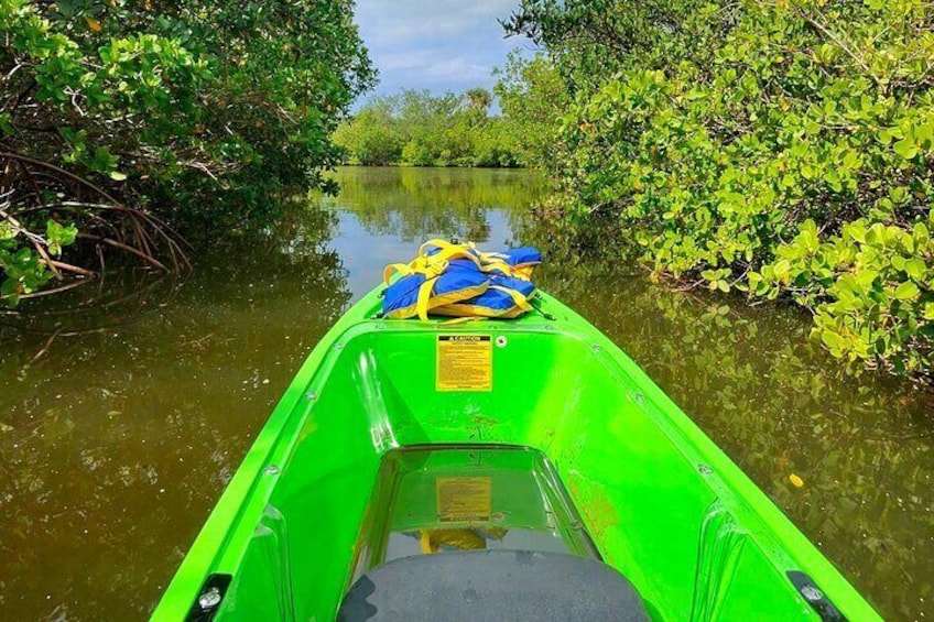 Magic of Nature Guided Eco Tour