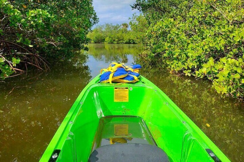 Magic of Nature Guided Eco Tour