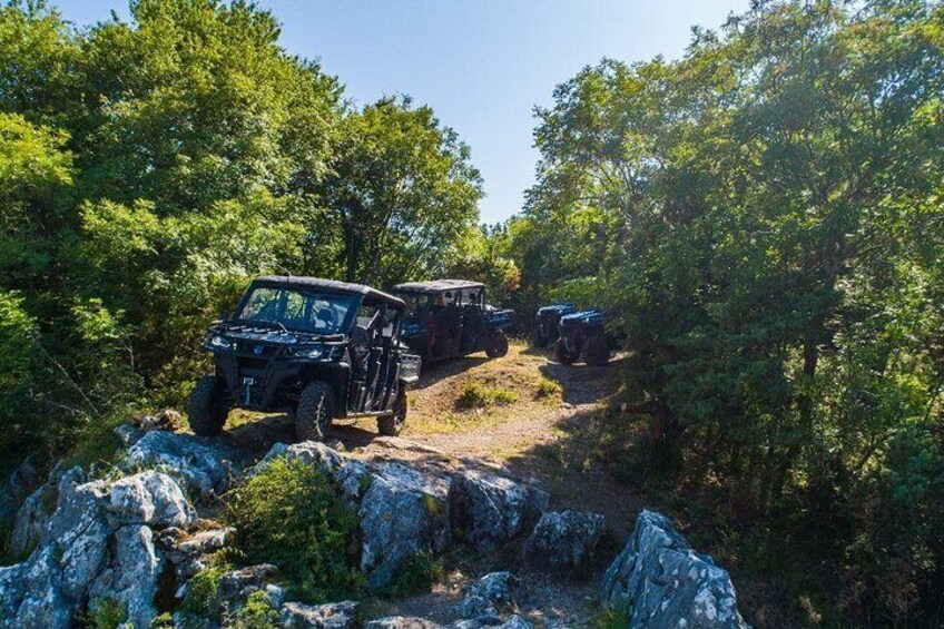 Wild Safari and Panorama Adventure Tour with Buggy from Kotor