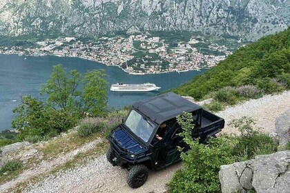 Wild Safari and Panorama Adventure Tour with Buggy from Kotor