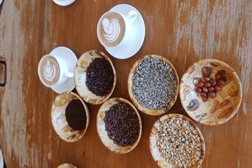 Kenyan Coffee Farm Tour