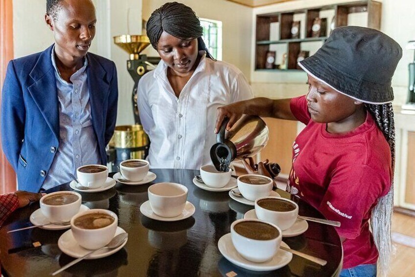 Kenyan Coffee Farm Tour