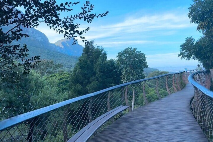 Kirstenbosch and Constantia Private Tour from Cape Town