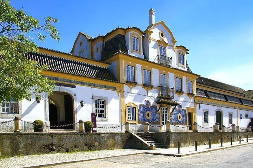 Caves José Maria da Fonseca