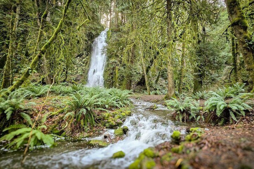 Victoria Hiking, Vista, Rainforest and Aquarium