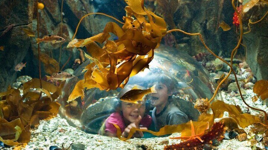 Victoria Hiking, Vista, Rainforest and Aquarium