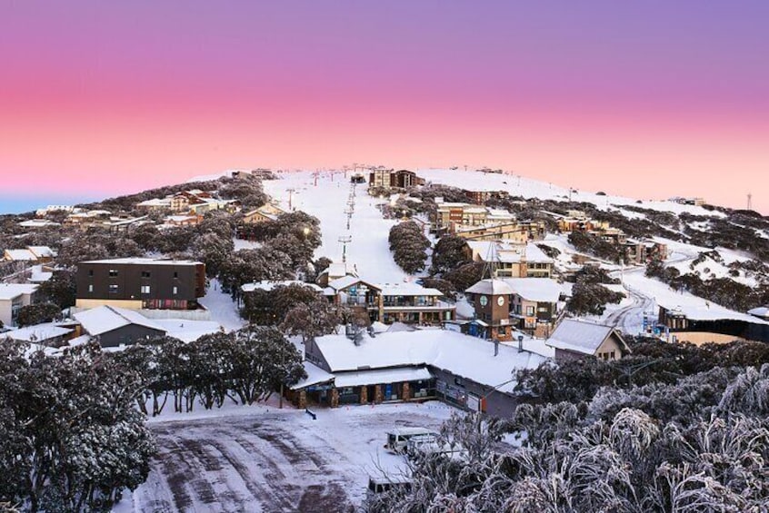 Seasonal Day Tour From Melbourne to Mt Buller