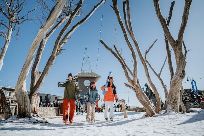 Seasonal Day Tour From Melbourne to Mt Buller