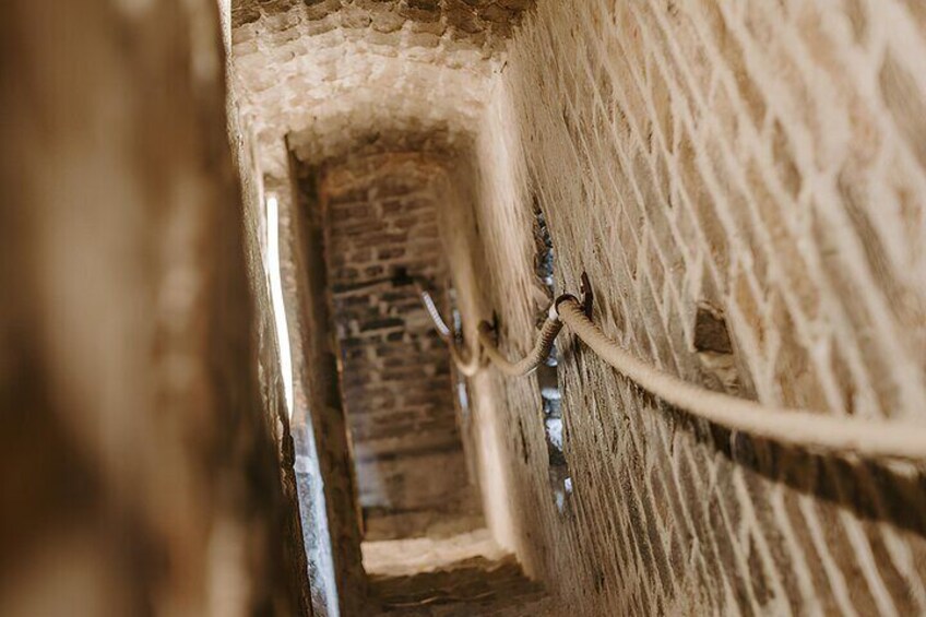 Visit to the bell tower of the Cathedral of Alba with sweet tasting