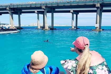 Autumn/ Winter Destin Harbour Sightseeing Dolphin Cruise