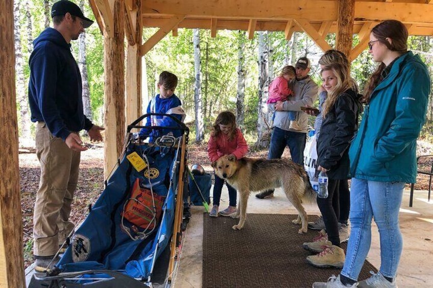 Sled Dog Ride and Scenic Drive from Anchorage