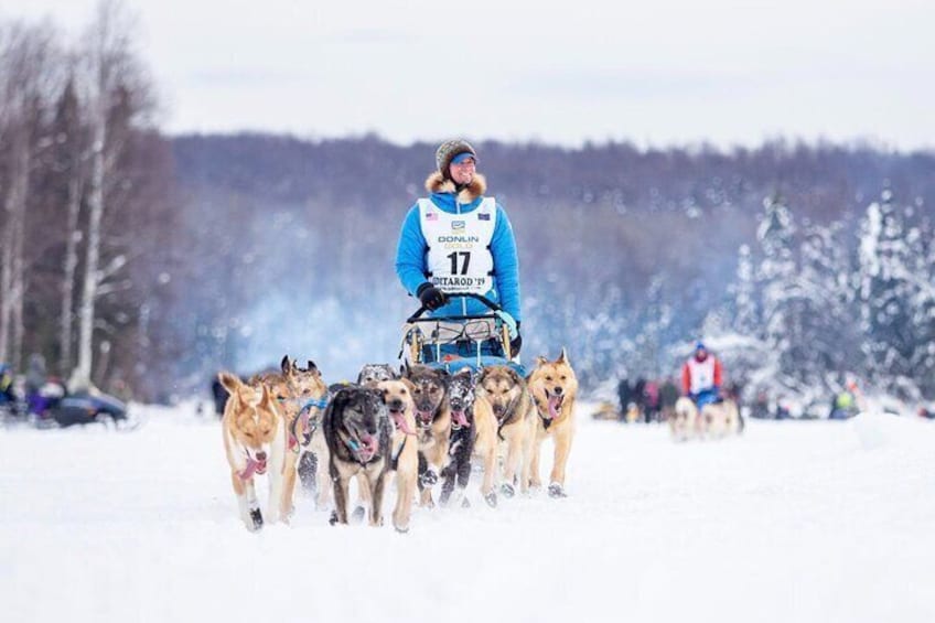 Sled Dog Ride and Scenic Drive from Anchorage