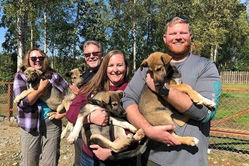 Sled Dog Ride and Scenic Drive from Anchorage