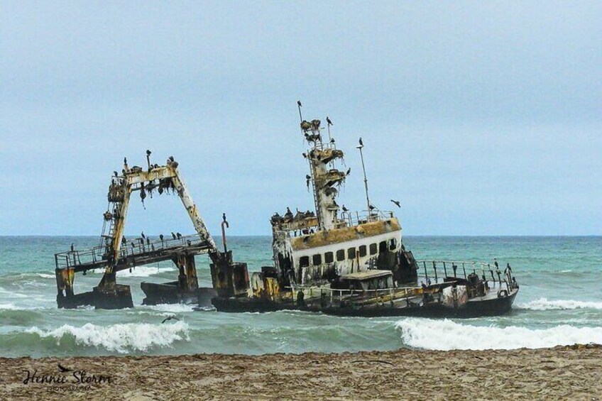 Skeleton Coast Cape Cross Seal Colony Tour