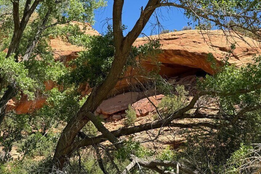 Full Day Private 4x4 Guided Jeep Experience in Moab