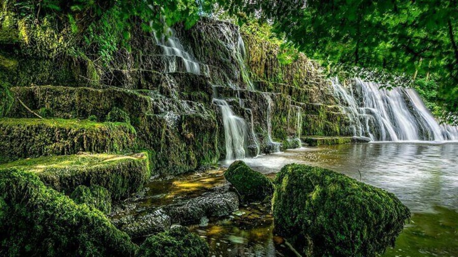 Private Day tour & sightseeing to Nikk
