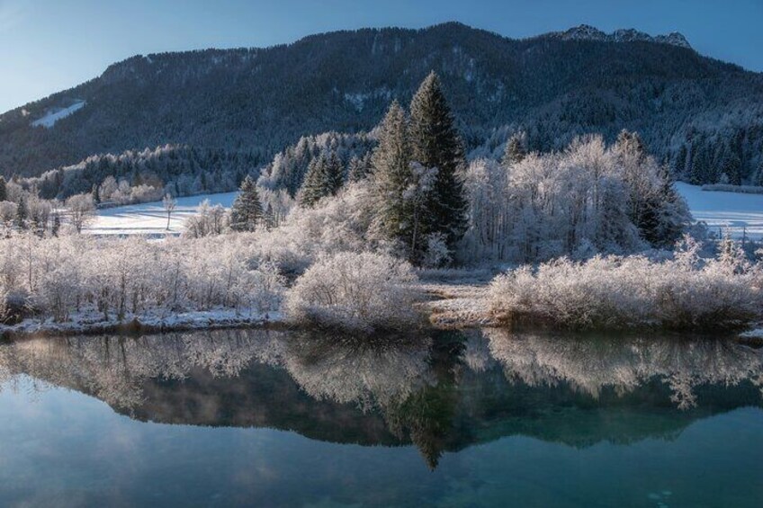 Private Day tour & sightseeing to Nikko(Eng speaking Driver)